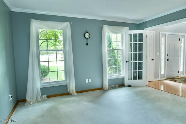 2878 Beaver Trl, Cortland, OH 44410 - entryway featuring plenty of natural light, ornamental molding, and carpet
