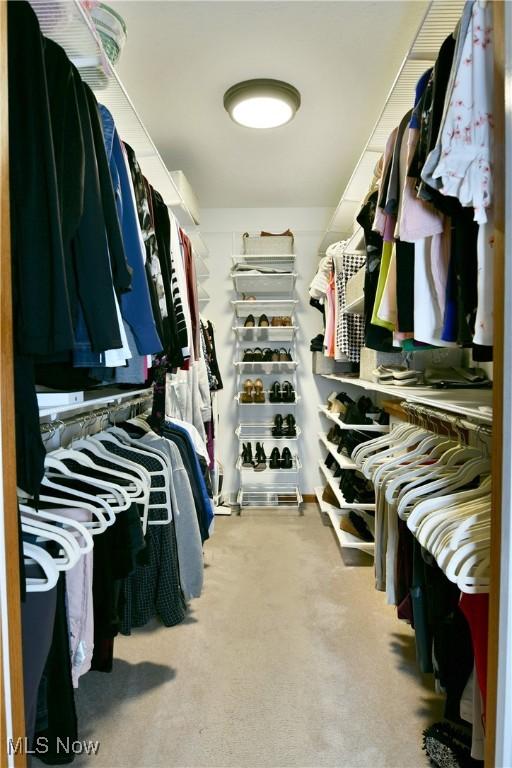 2878 Beaver Trl, Cortland, OH 44410 - spacious closet with carpet floors