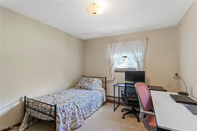 40698 Whitney Rd, Lagrange, OH 44050 - bedroom featuring carpet flooring, a desk, and a baseboard heating unit
