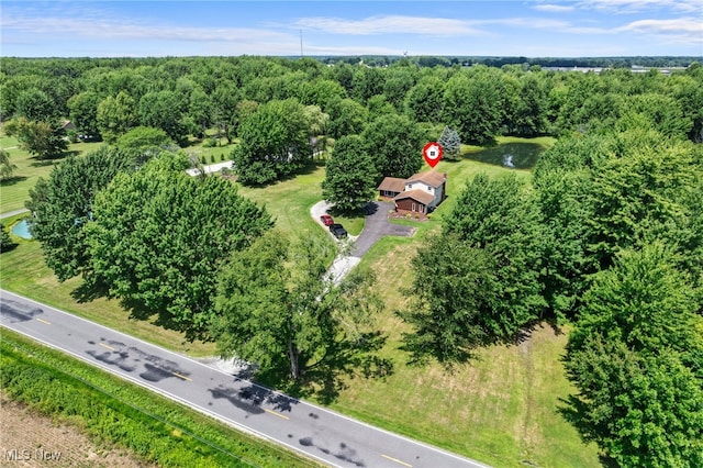40698 Whitney Rd, Lagrange, OH 44050 - aerial view of property and surrounding area