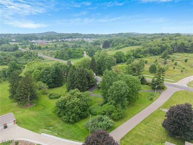 5352 Hills And Dales Rd NW, Canton, OH 44708 - drone / aerial view