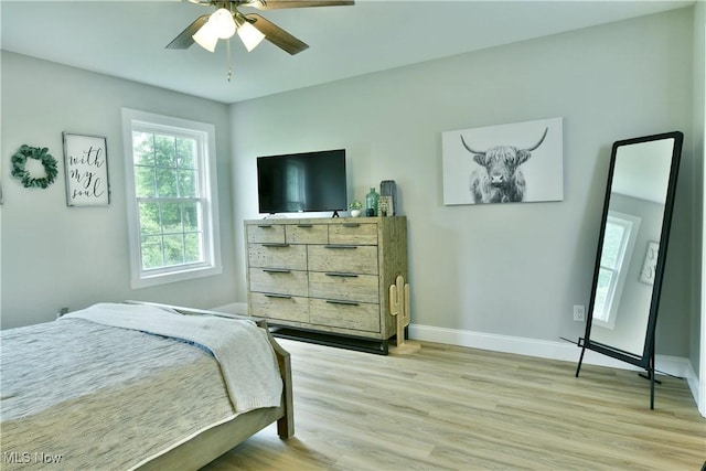 125 Fitch Blvd Unit 254, Youngstown, OH 44515 - bedroom with light wood finished floors and ceiling fan