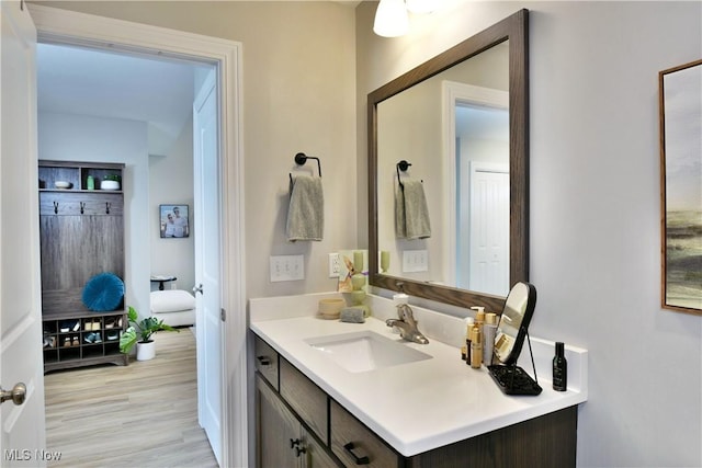 125 Fitch Blvd Unit 254, Youngstown, OH 44515 - bathroom featuring vanity and wood finished floors