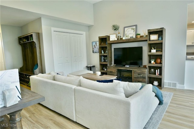 125 Fitch Blvd Unit 254, Youngstown, OH 44515 - living room featuring light wood-style floors and a fireplace