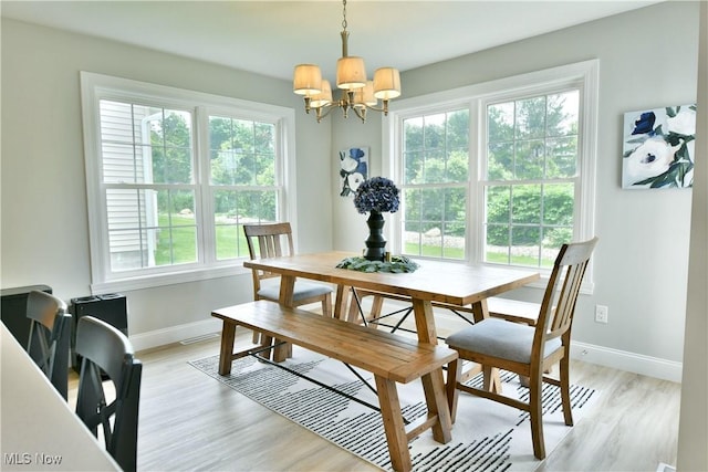 125 Fitch Blvd Unit 254, Youngstown, OH 44515 - dining space with a chandelier, plenty of natural light, and light wood finished floors