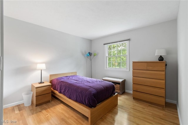 4270 Sir Robert Ave, North Royalton, OH 44133 - bedroom featuring light wood finished floors