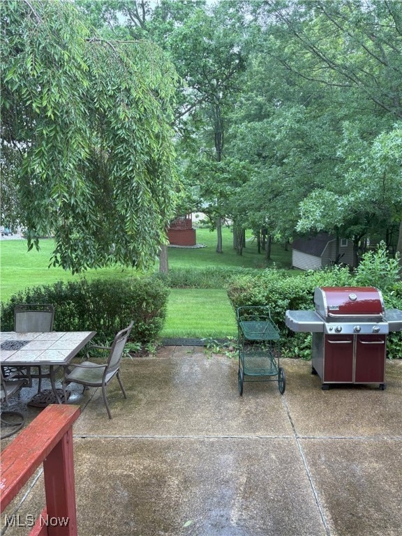 3611 Mark Dr, Broadview Heights, OH 44147 - view of patio / terrace featuring area for grilling and outdoor dining area