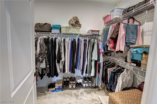 23797 St Andrews Dr, Columbia Station, OH 44028 - walk in closet with carpet flooring