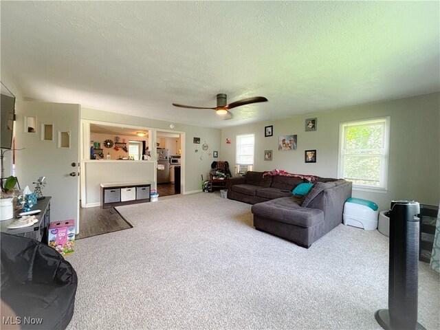 37538 State Route 558, Leetonia, OH 44431 - photo 8