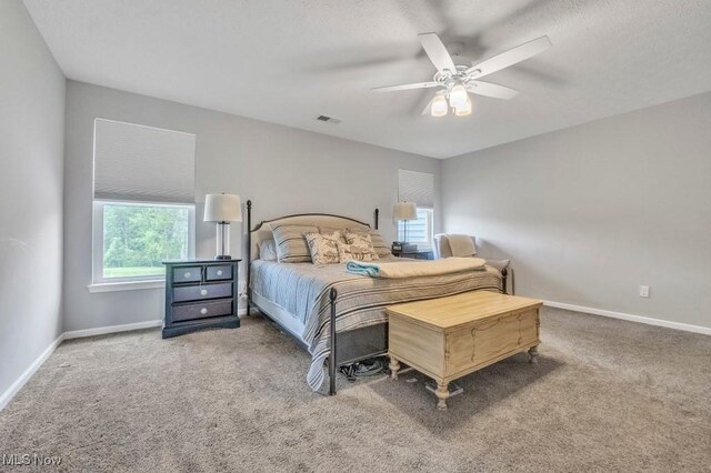 13196 Barrington Dr, Grafton, OH 44044 - carpeted bedroom featuring baseboards and a ceiling fan