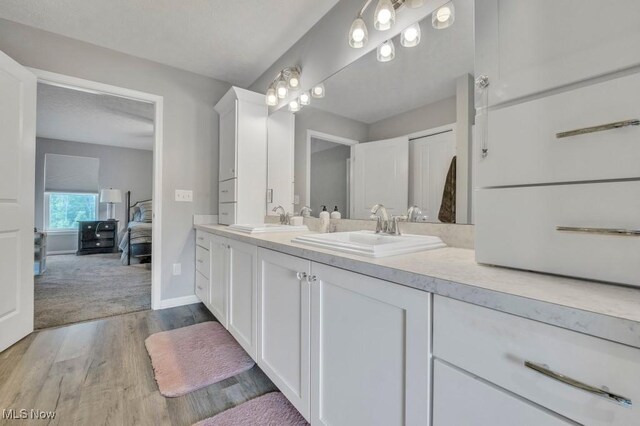 13196 Barrington Dr, Grafton, OH 44044 - ensuite bathroom with double vanity and wood finished floors