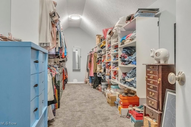 13196 Barrington Dr, Grafton, OH 44044 - walk in closet featuring lofted ceiling, electric panel, and carpet flooring