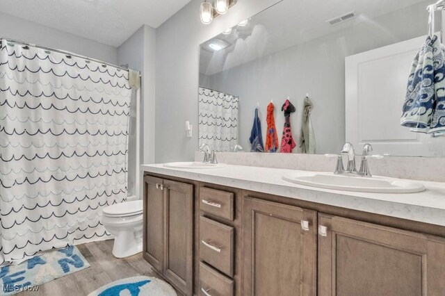 13196 Barrington Dr, Grafton, OH 44044 - bathroom featuring wood finished floors and double vanity