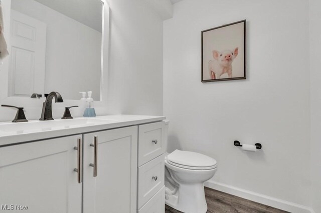 13196 Barrington Dr, Grafton, OH 44044 - bathroom with wood finished floors and vanity