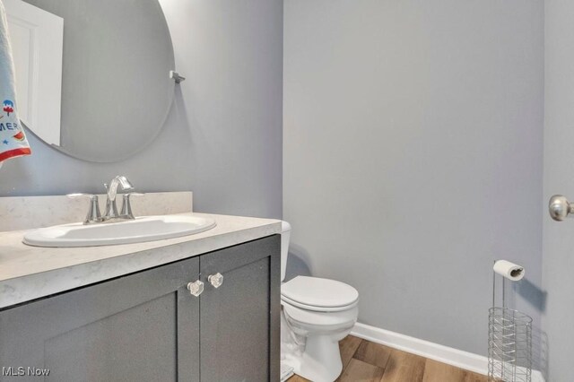 13196 Barrington Dr, Grafton, OH 44044 - bathroom featuring wood finished floors and vanity