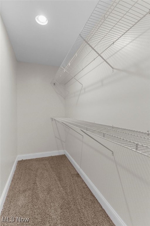 381 Lauretta Ln, Hubbard, OH 44425 - walk in closet featuring carpet