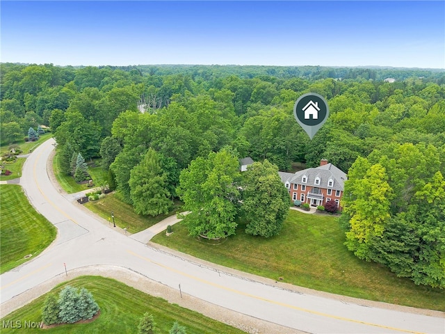 4035 Evergreen Ln, Richfield, OH 44286 - aerial view of a forest