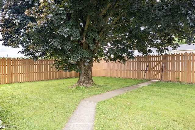 15459 Serfass Rd, Doylestown, OH 44230 - view of yard
