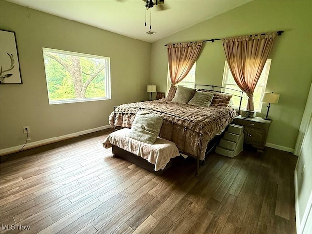 1550 Swift Rd, Waterford, OH 45786 - bedroom with dark wood finished floors, vaulted ceiling, and ceiling fan