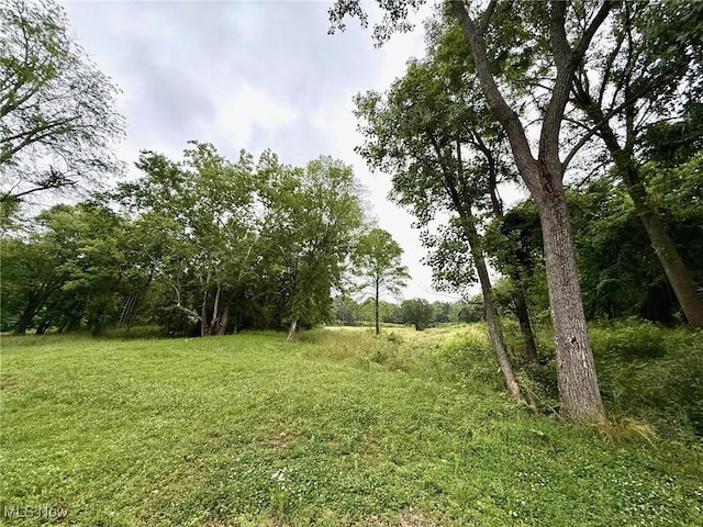 1550 Swift Rd, Waterford, OH 45786 - view of nature