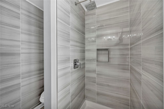 7569 Lake Shore Blvd, Madison, OH 44057 - bathroom with a stall shower and toilet