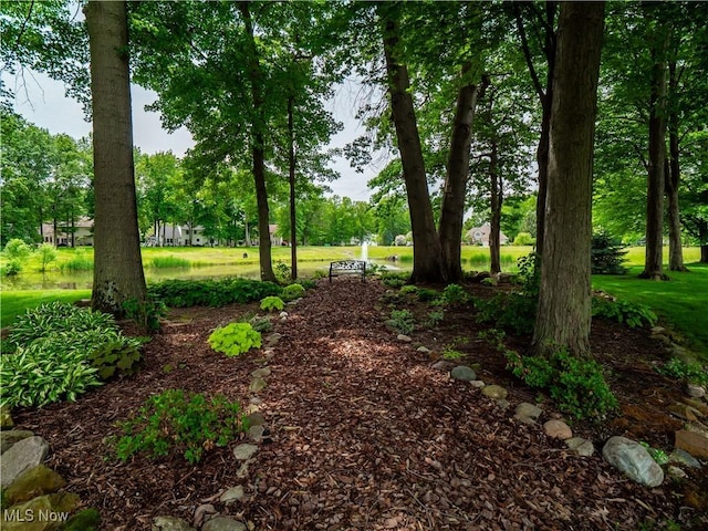 32969 Durrell Ave, Avon Lake, OH 44012 - view of yard