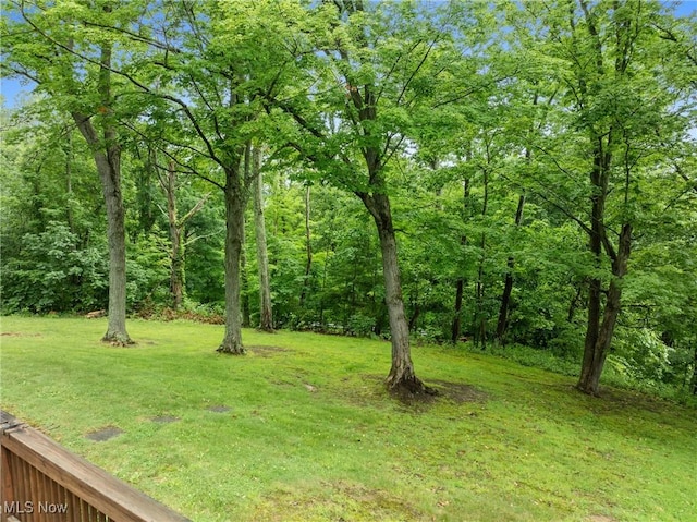 59937 Broadview Rd, Shadyside, OH 43947 - view of grassy yard