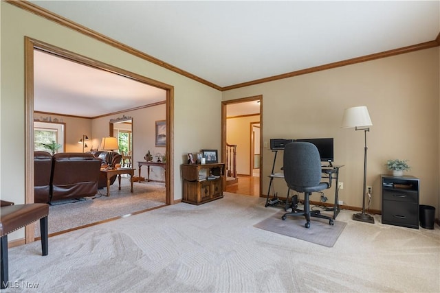 6884 Mapleridge Cir NW, Canton, OH 44718 - carpeted home office with ornamental molding and baseboards