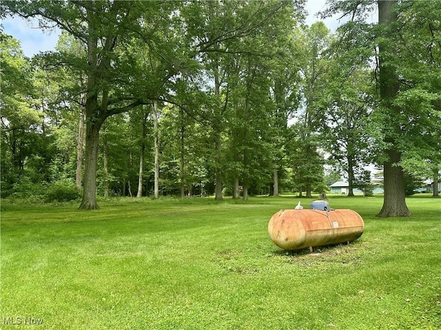 2178 Hewitt Gifford Rd SW, Warren, OH 44481 - view of green lawn