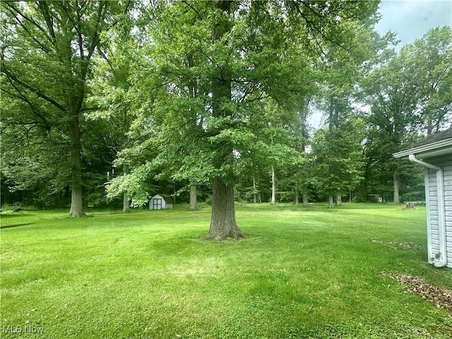 2178 Hewitt Gifford Rd SW, Warren, OH 44481 - view of grassy yard with a storage shed