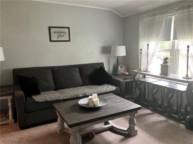 723 High Ave, Niles, OH 44446 - living room featuring ornamental molding, carpet, and lofted ceiling