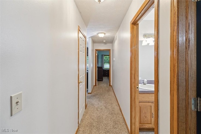 1012 Woodland Chase, Grafton, OH 44044 - hall with light carpet and a sink