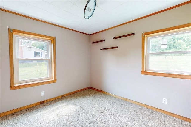 43818 Sherwood Rd, Wellsville, OH 43968 - photo 29