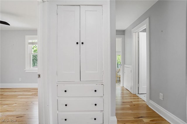 3382 Ormond Rd, Cleveland Heights, OH 44118 - hallway with light wood-style flooring and healthy amount of natural light