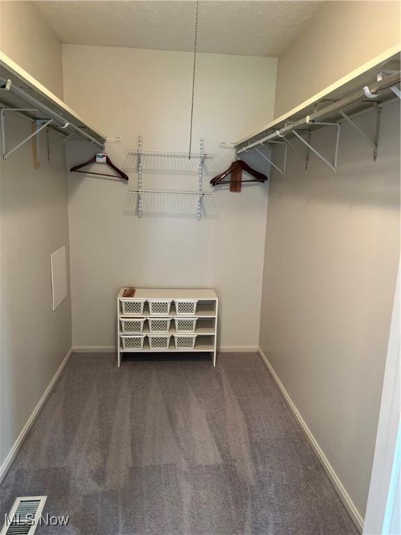 1235 Canyon View Rd, Sagamore Hills, OH 44067 - walk in closet with carpet floors