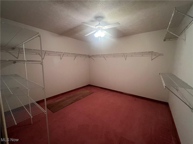 1235 Canyon View Rd, Sagamore Hills, OH 44067 - walk in closet with carpet floors and a ceiling fan