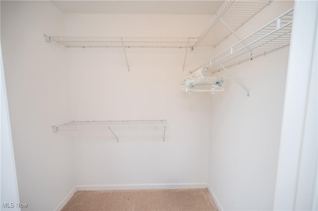 125 Fitch Blvd Unit 263, Austintown, OH 44515 - spacious closet featuring light colored carpet