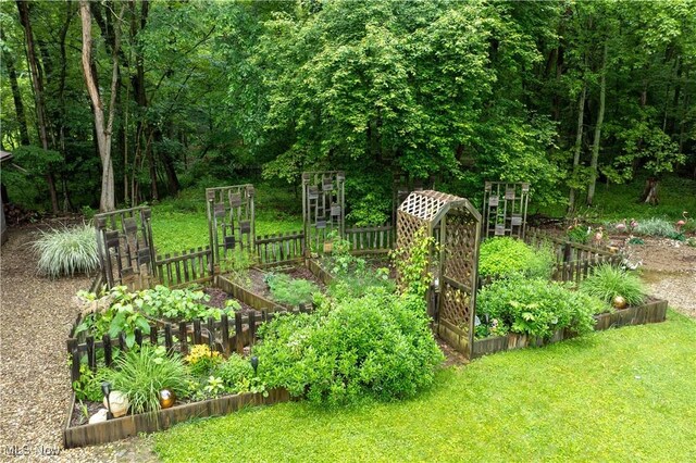 265 Schneiders Crossing Rd NW, Dover, OH 44622 - view of green lawn featuring a vegetable garden