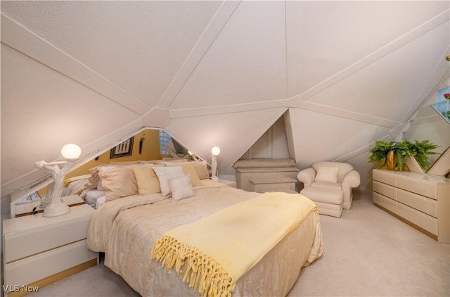 265 Schneiders Crossing Rd NW, Dover, OH 44622 - bedroom with lofted ceiling and carpet floors