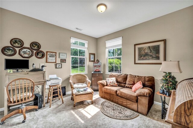 3845 Windsor Bridge Cir, Huron, OH 44839 - living area with carpet