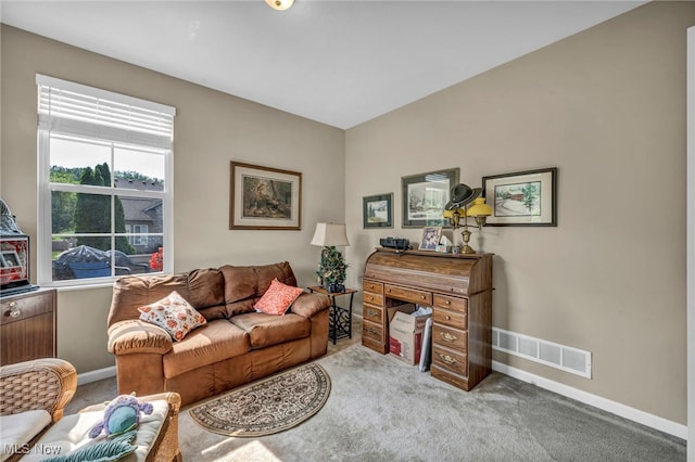 3845 Windsor Bridge Cir, Huron, OH 44839 - living area featuring carpet flooring and baseboards