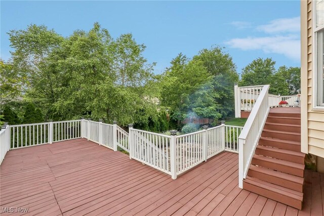 5408 Montville Dr, Medina, OH 44256 - photo 43