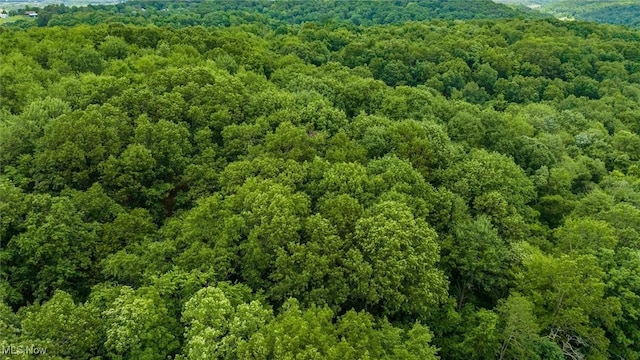 61342 High Hill Rd, Cambridge, OH 43725 - aerial view of a forest