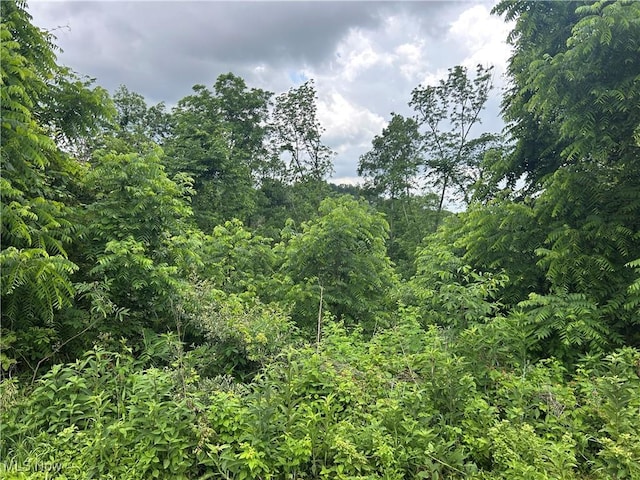 61342 High Hill Rd, Cambridge, OH 43725 - view of undeveloped land