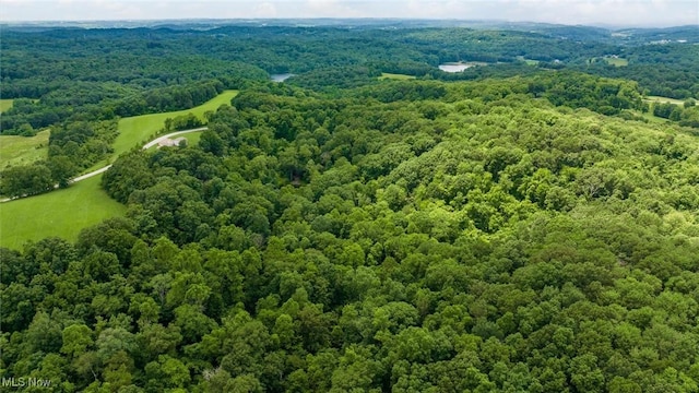 61342 High Hill Rd, Cambridge, OH 43725 - bird's eye view of a forest