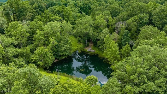 61342 High Hill Rd, Cambridge, OH 43725 - view of property location with a heavily wooded area and a large body of water