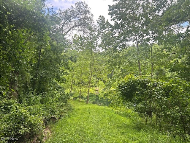 61342 High Hill Rd, Cambridge, OH 43725 - view of woods