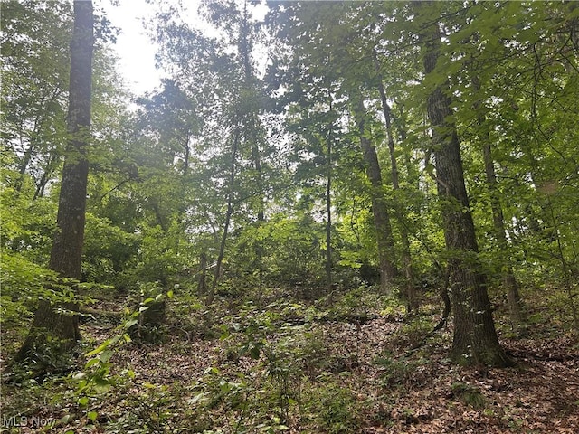 61342 High Hill Rd, Cambridge, OH 43725 - view of wooded area