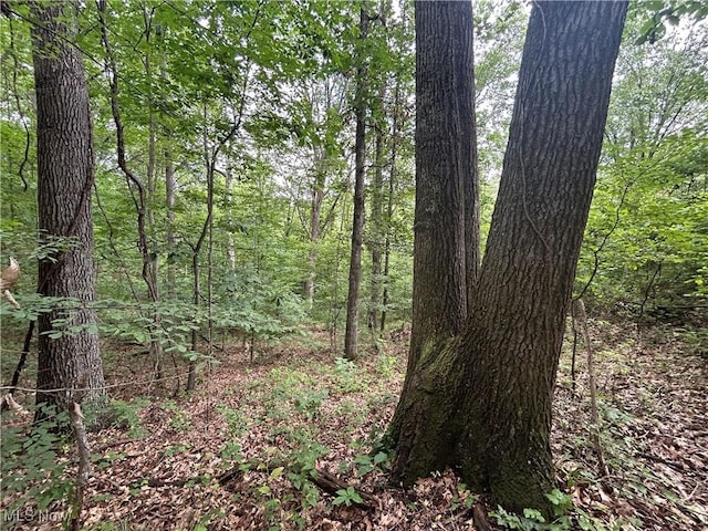 61342 High Hill Rd, Cambridge, OH 43725 - view of wooded area