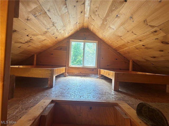 61342 High Hill Rd, Cambridge, OH 43725 - additional living space featuring lofted ceiling